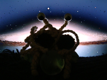 FSM - night time